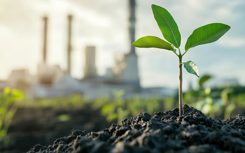 Moderne Industrieanlage im Hintergrund. Erdhaufen mit kleiner grüner Pflanze im Vordergrund.