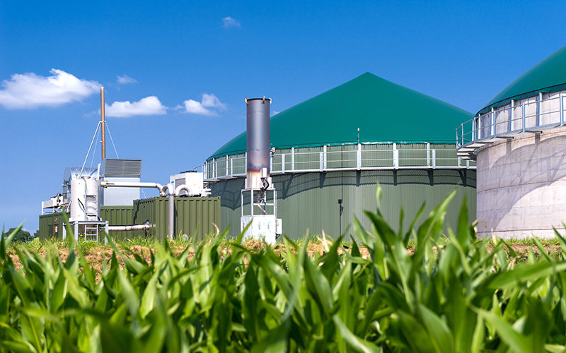 Biogasanlage mit Umfeld
