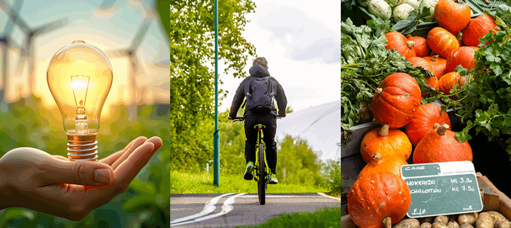 Collage mit Bildern zu verschiedenen Reduktionsmaßnahmen (z.B. Fahrrad, Energiesparlampe, regionale Produkte)