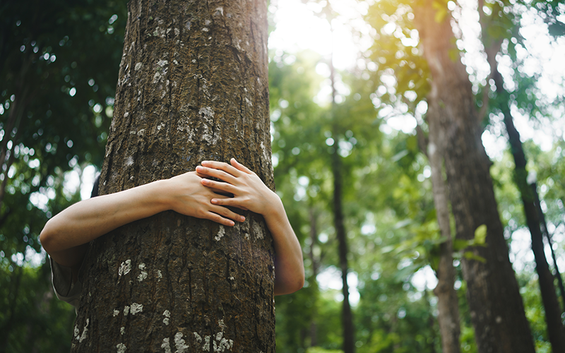 Person umarmt Baum im Wald