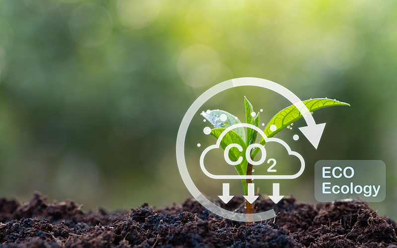 Kleine Pflanze wächst aus der Erde. Illustration symbolisiert den CO2-Kreislauf.