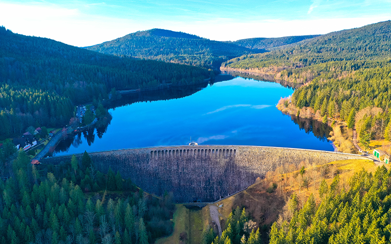 Naturaufnahme des Schwarzwalds, Region in Deutschland