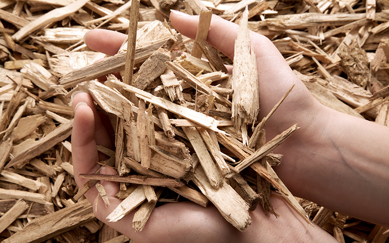 Hände halten Holzhackschnitzel
