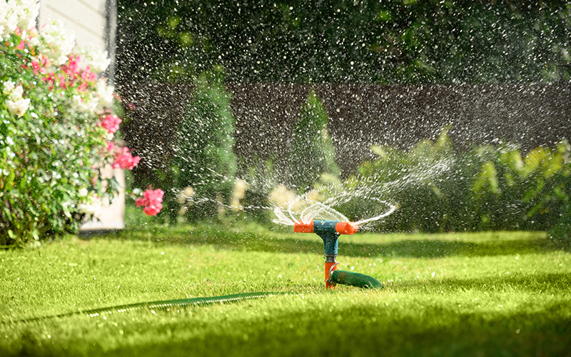 Rasensprenger mit orange-grünen Düsen verteilt Wasser auf grünem Rasen vor einem Haus mit blühenden Sträuchern.