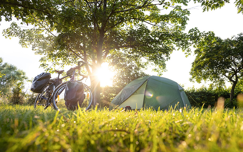 Zelt und beladenes Fahrrad stehen auf einer grünen Wiese unter Bäumen mit Sonnenlicht im Hintergrund.